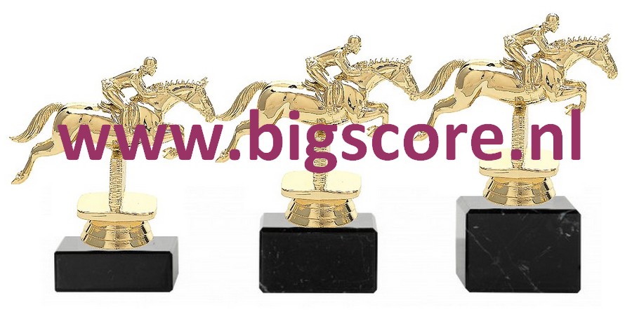 Paardspringen Goud 4006-G